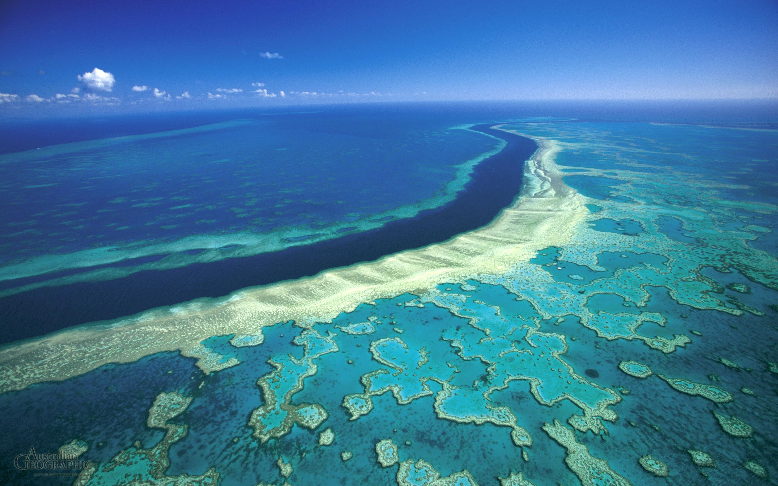 Great Barrier Reef under threat