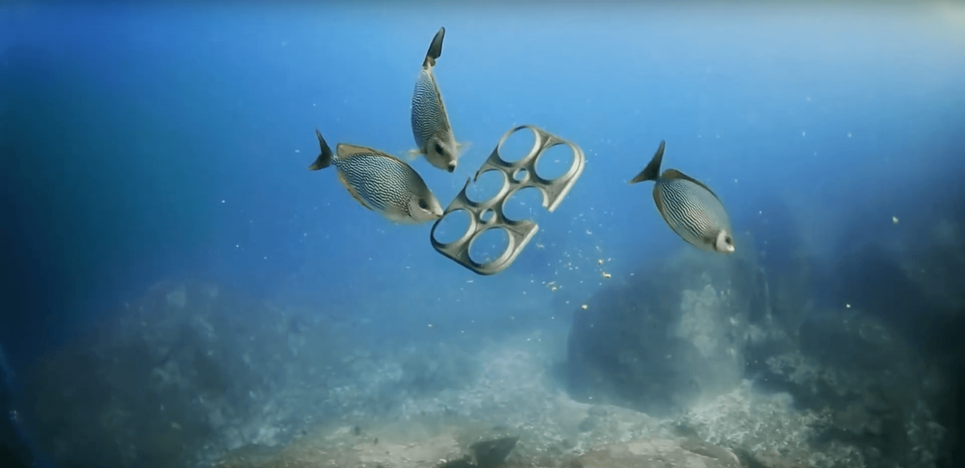 Saving the environment, one beer at a time.