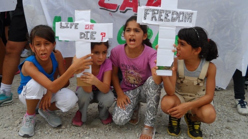 What We Missed While the Government Was in Lockdown