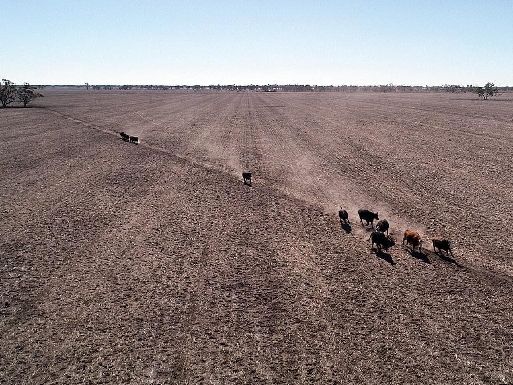 Major News Networks Join the Force to Help Farmers