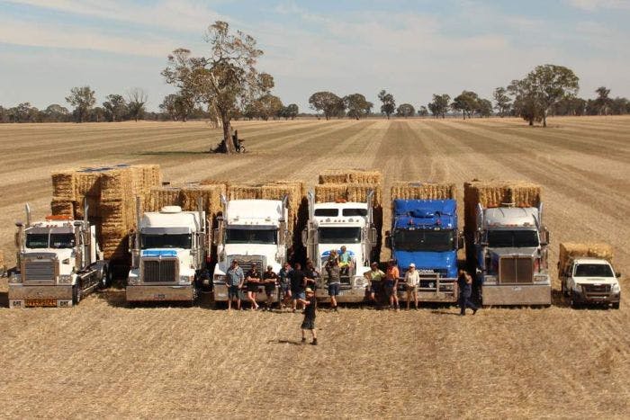 Hay Exportations Continue Through Drought as Farmers Call Government to Action