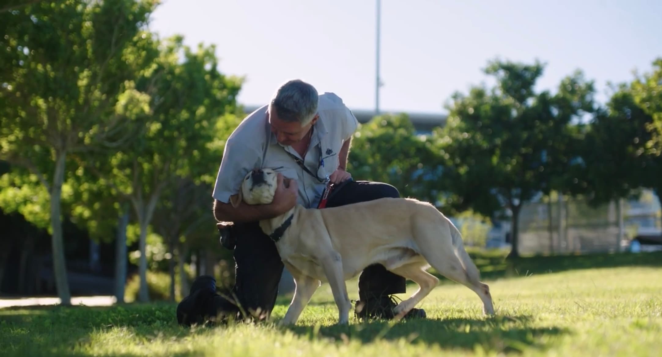 New dog learns old tricks with detector dog elite fleet