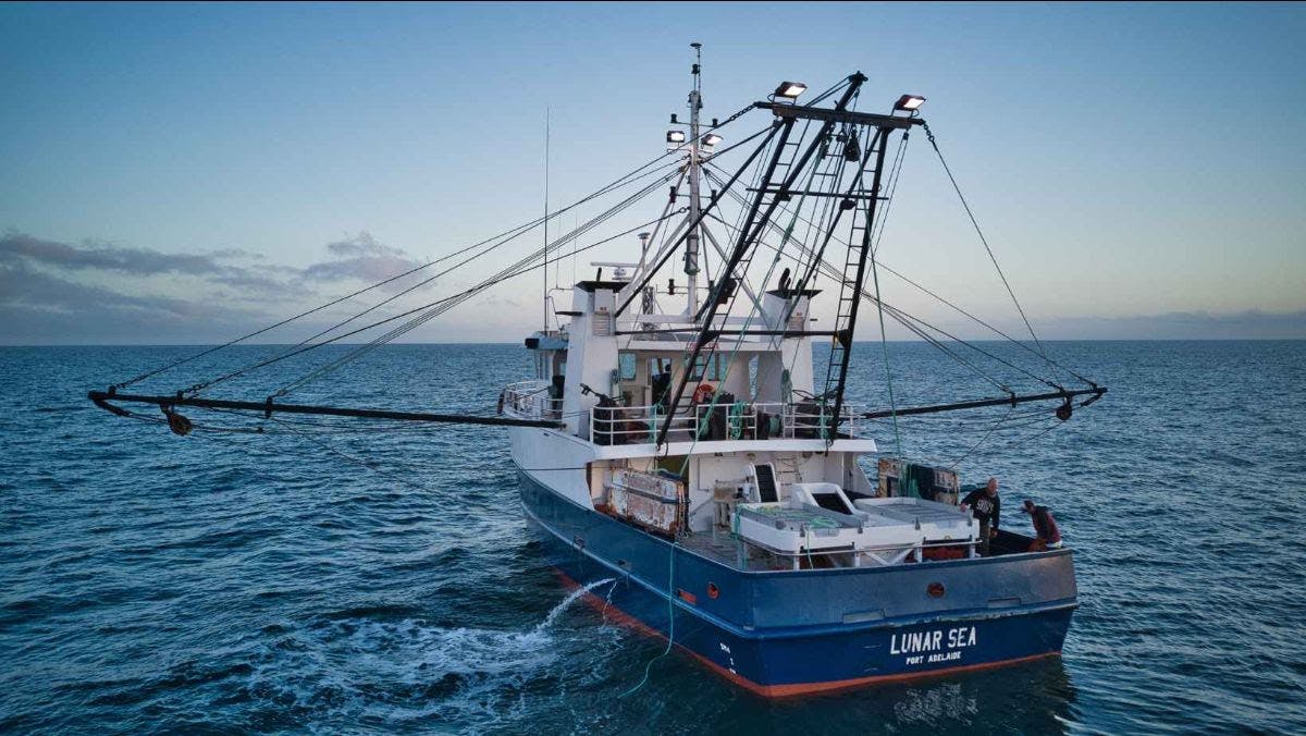 Commercial seafood industry launches national safety program, Sea Safe